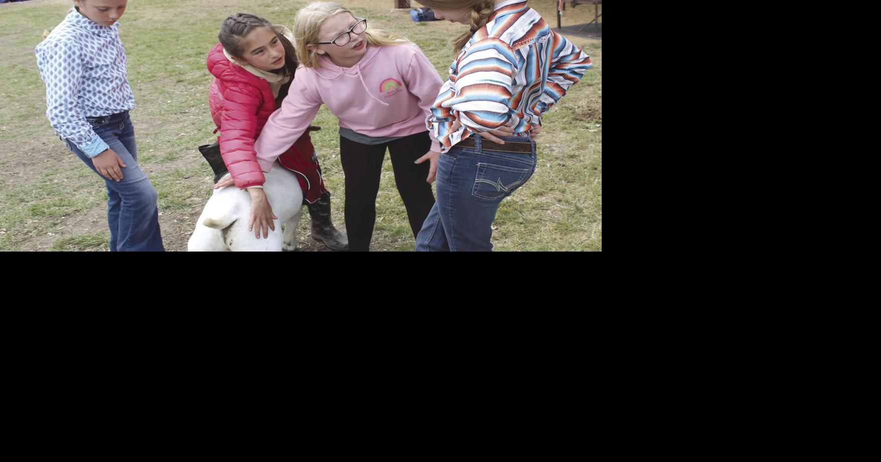 Big concerts, Sale of Champions scheduled for Hunt County Fair News