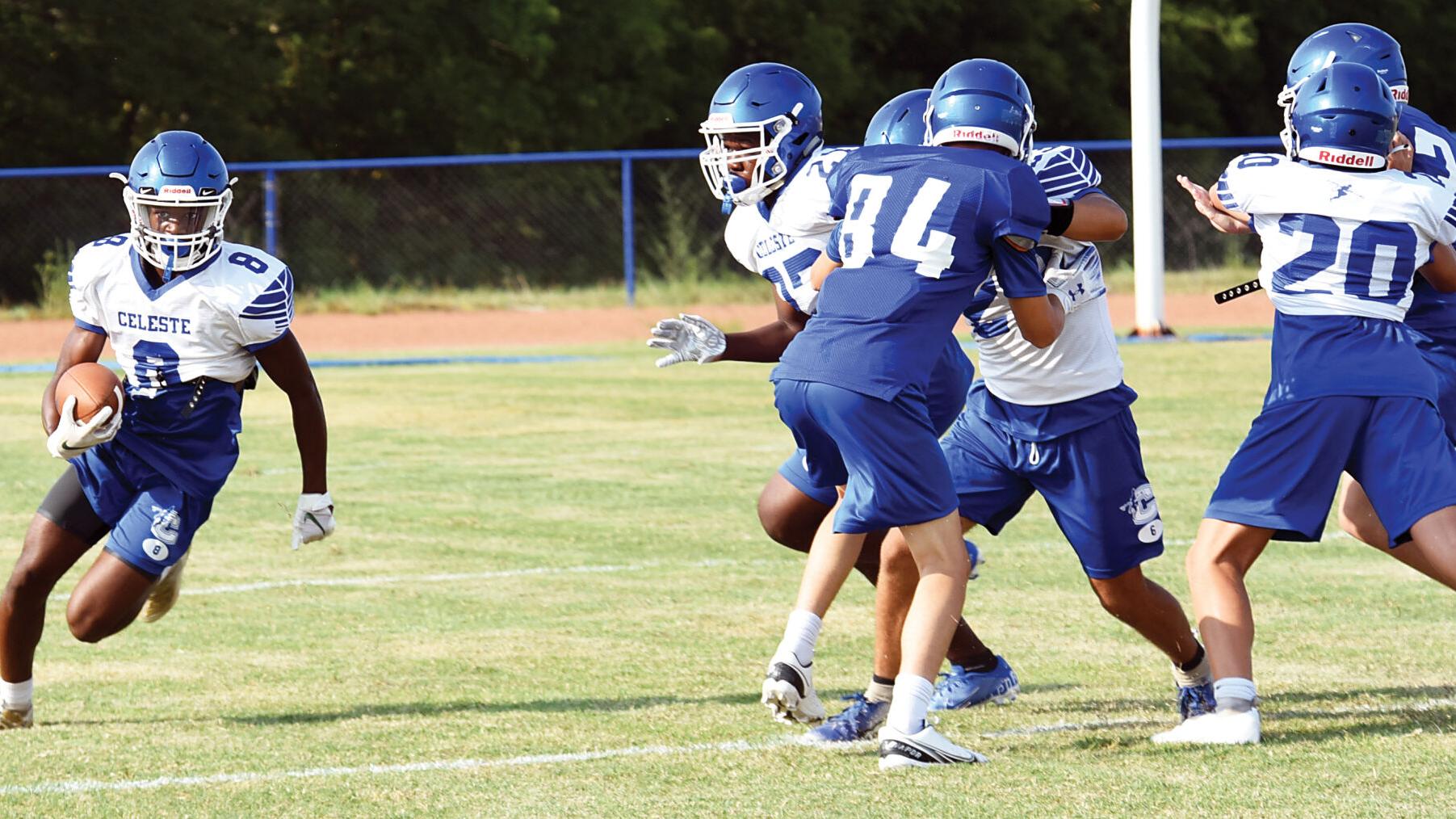 Celeste Blue Devils Are Energized Sports Heraldbanner Com