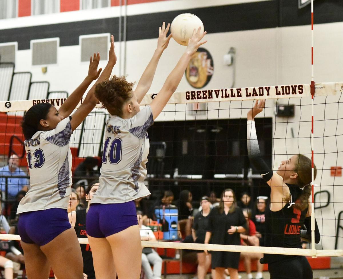 Volleyball Greenville Lady Lions to face another tough match Local