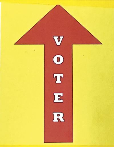 Early vote totals smashing records | News | heraldbanner.com