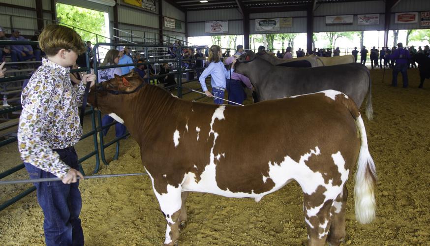 Photo gallery: Hunt County Fair and Livestock Show, Market ...