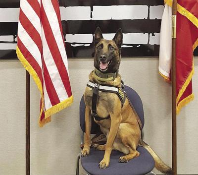 Memorial service scheduled for Rex