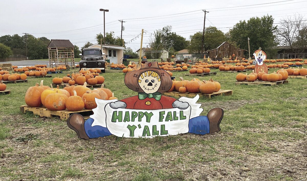 greenville pumpkin patch