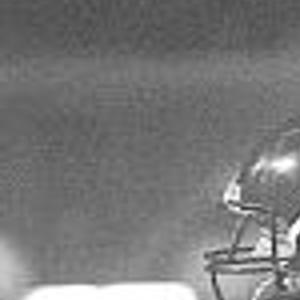Lions Fall To No 3 Highland Park Sports Heraldbanner Com