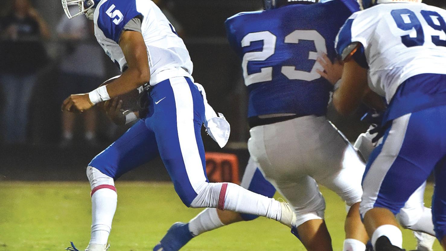 Celeste Leads Way On Herald Banner Football Dream Team Sports Heraldbanner Com