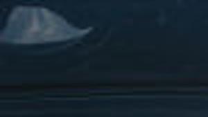 Car Show Brings Out Automobile Enthusiasts Archives Heraldbanner Com