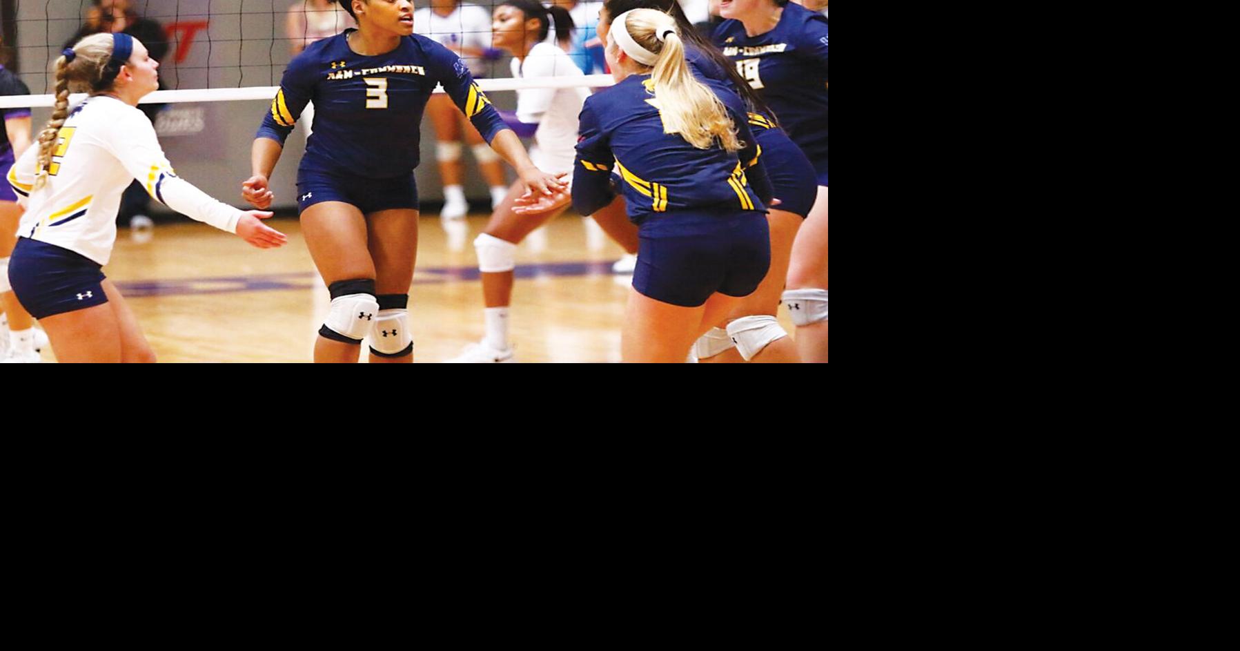 earns nine honors on allLSC volleyball team Sports