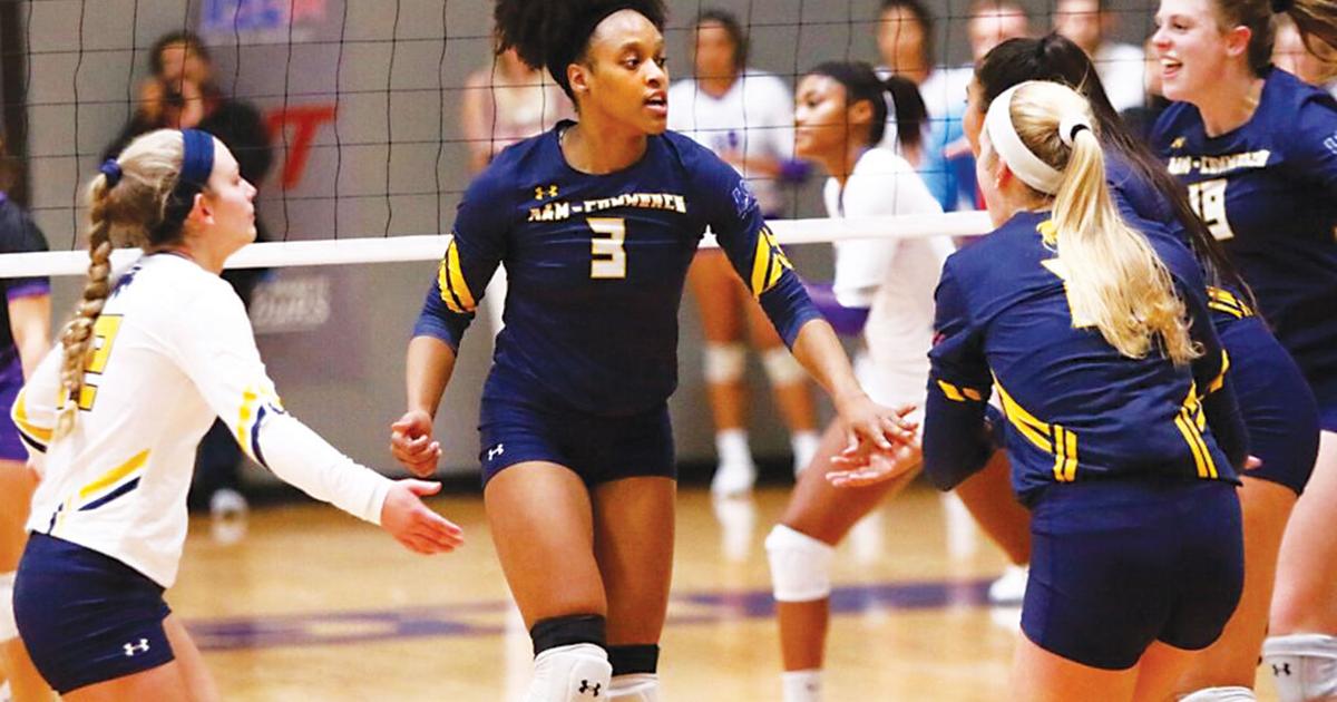 earns nine honors on allLSC volleyball team Sports