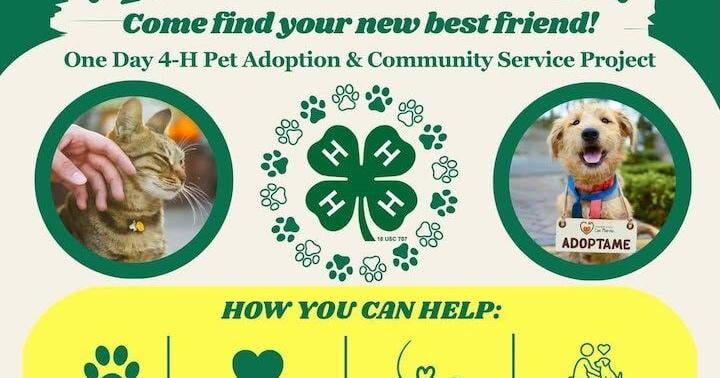 ‘Fetch a Friend’ event to connect pets with new homes in Hunt County
