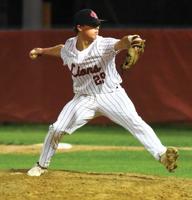 Sherman nearly no-hits Greenville Lions in 5-0 win