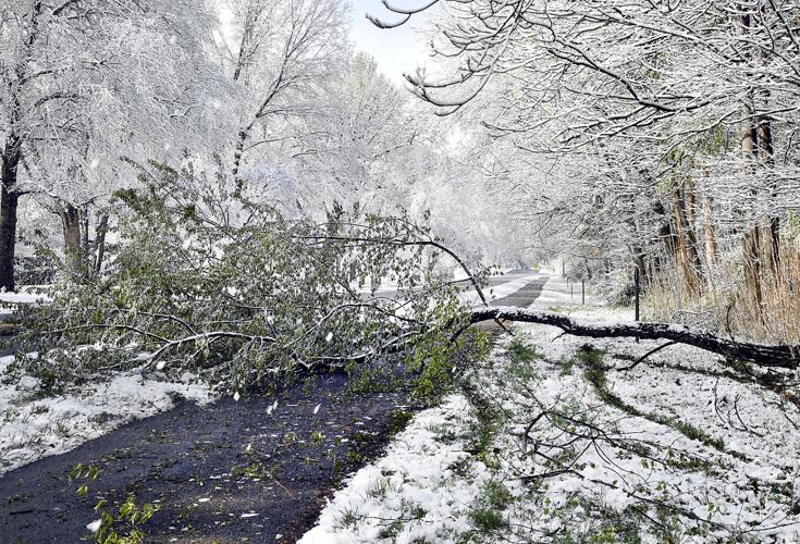 Snowfall breaks 52year record for April 20 in Anderson News