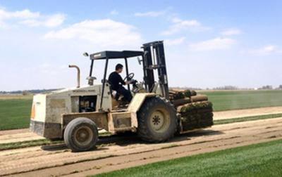 Business Profile Building Success On Greener Pastures News