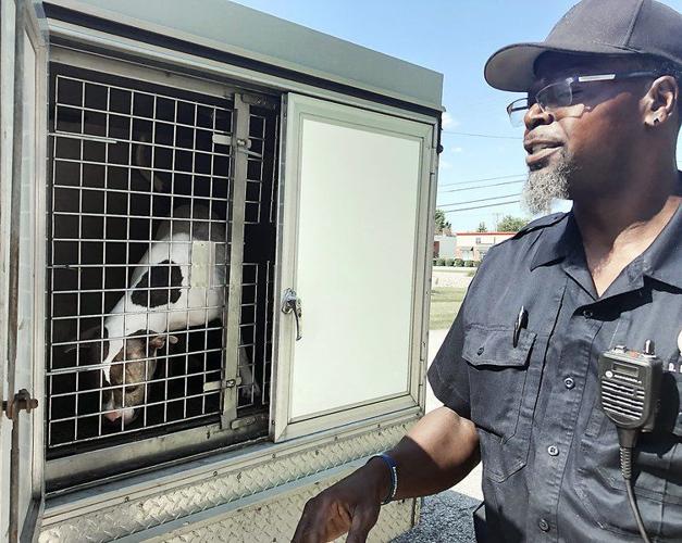 Animal Control officers handle 'ruff' job with ease Local News