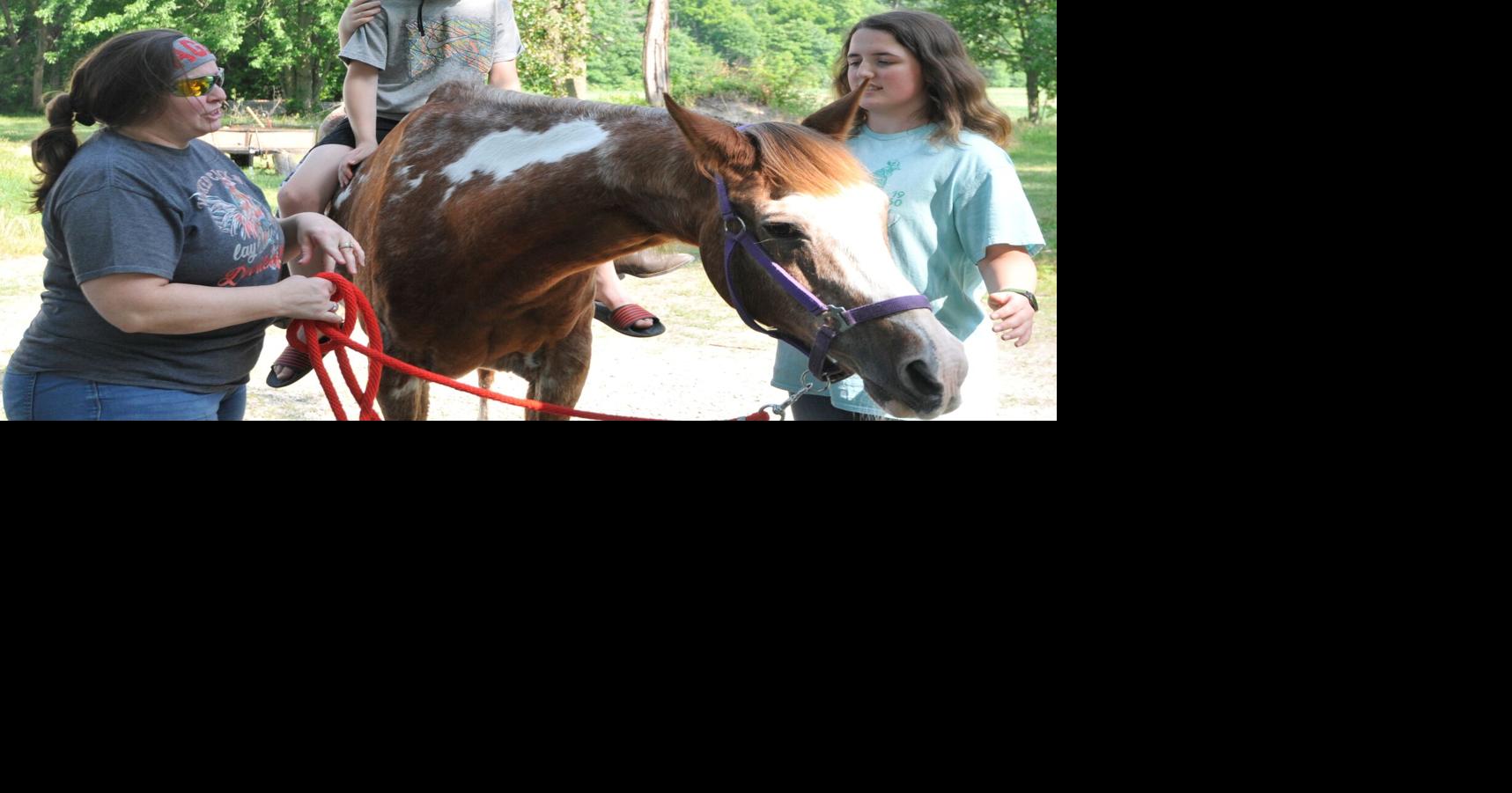 31yearold 4H horse keeps on trotting MAD Life Entertainment