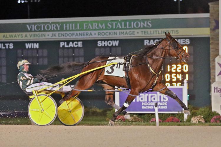Bulldog Hanover battles for Mounument Circle victory at ...
