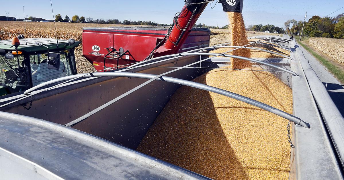 Hoosier farmers continue to support Trump's tariffs despite financial pain