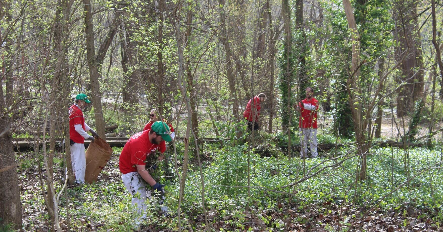 Indiana takes grassroots approach to fight invasive plants - Vimarsana News