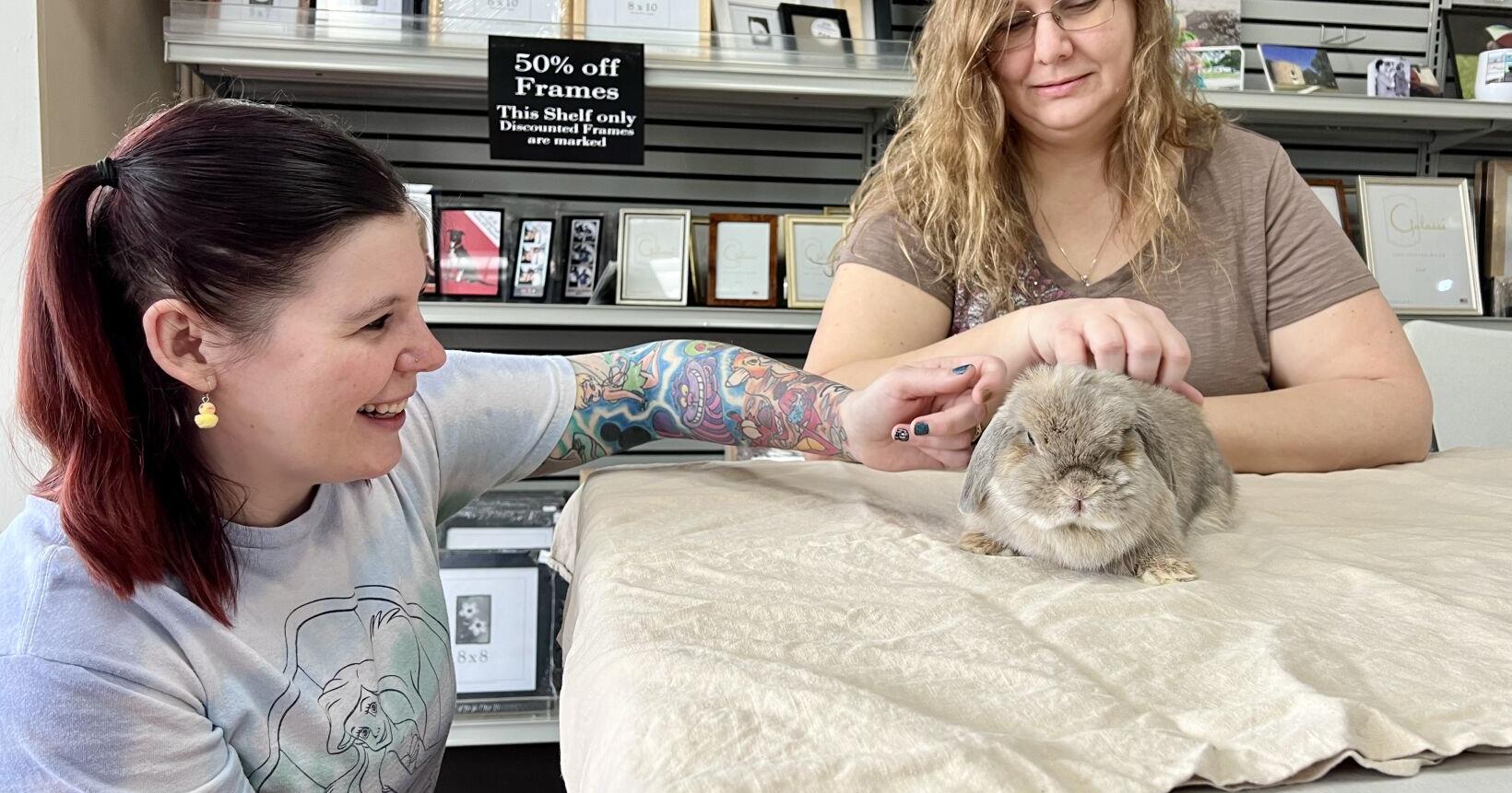 Spring portrait event in Anderson brings kids, rabbits together - Vimarsana News