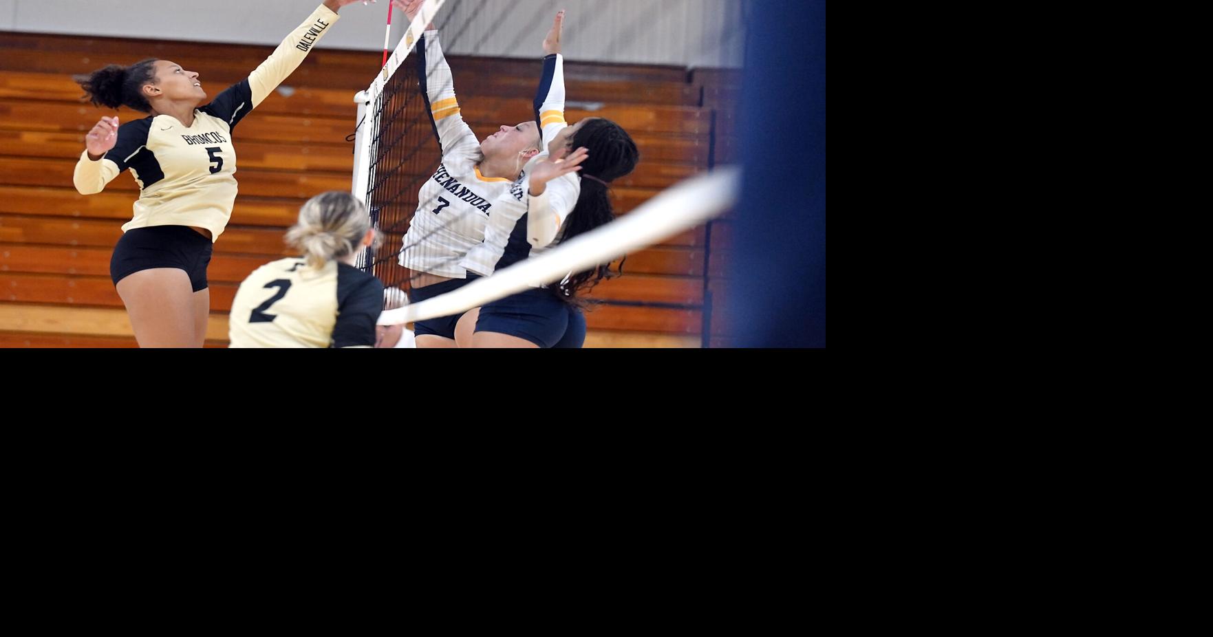 THB Sports Volleyball Athlete of the Year: Daleville's Trishell Johnson ...