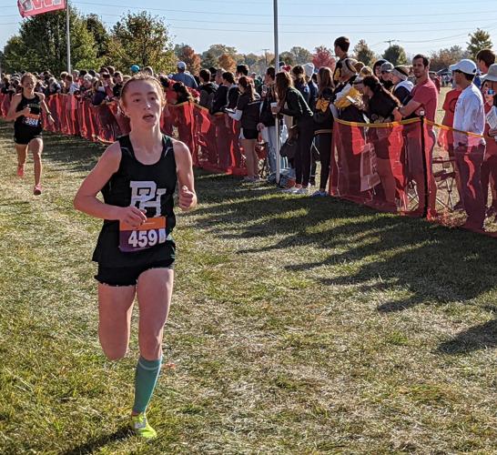 Five Madison County runners advance to cross country state ...