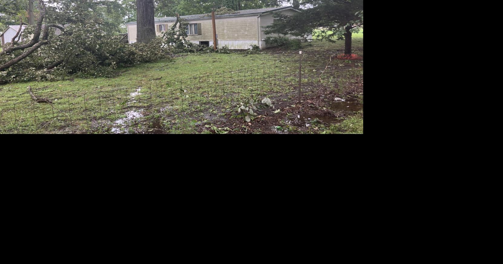 Storm that hit rural Alexandria caused by straight-line winds, microburst