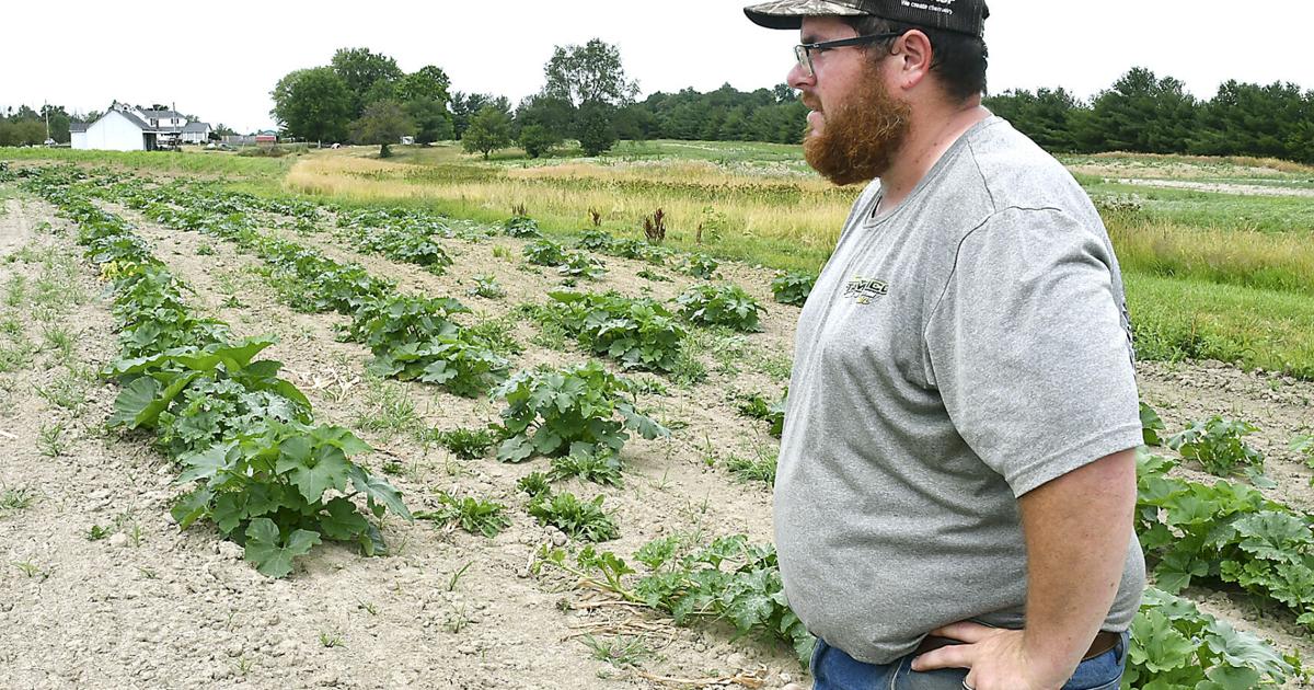 Thank a Farmer: Hodge Family Farm Grows Exponentially Through Fourth Season |  Company