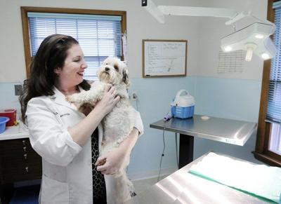 Saving pets' lives at a lower cost | Local News ...