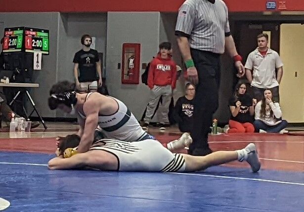 Alexandria leads area with 10 wrestlers advancing to regional ...