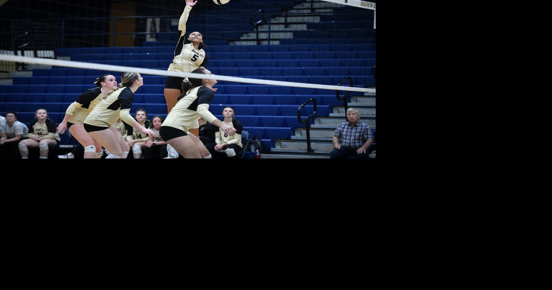 PHOTOS: Daleville volleyball regional action | Gallery | heraldbulletin.com