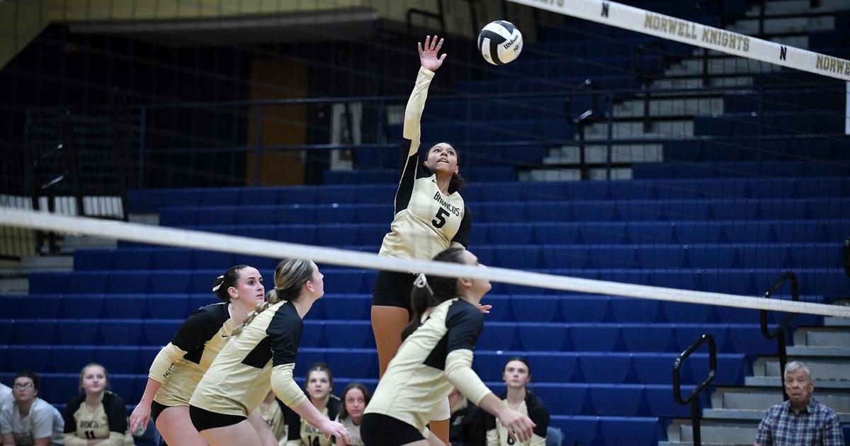 Michelle Datuin PHOTOS: Daleville volleyball regional action | Gallery | heraldbulletin.com
