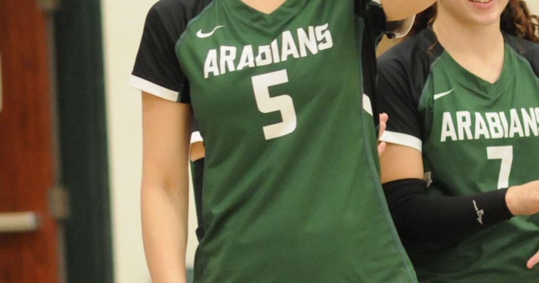 Former area volleyball greats in action