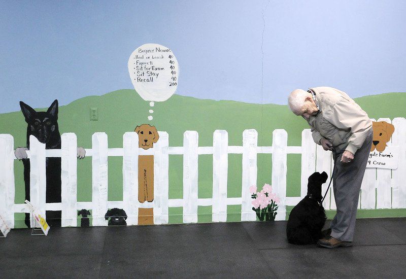 Stonegate Farm's K9 Crew offers certified courses Hidden Treasures