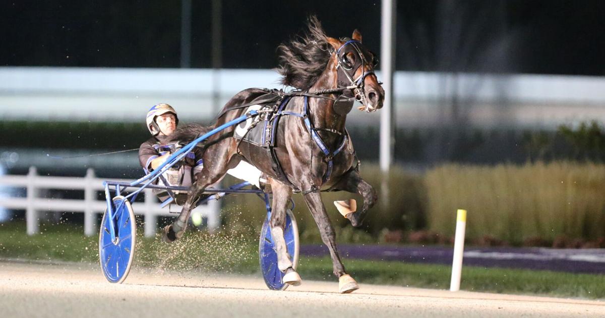 High Stakes Racing High stakes racing set for Harrah's Hoosier Park | Sports ...