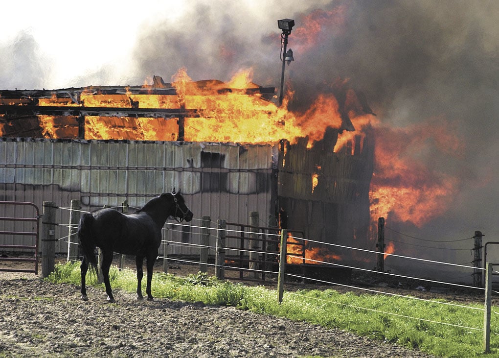 Stable Fire Kills At Least 14 Horses Archives Heraldbulletin Com