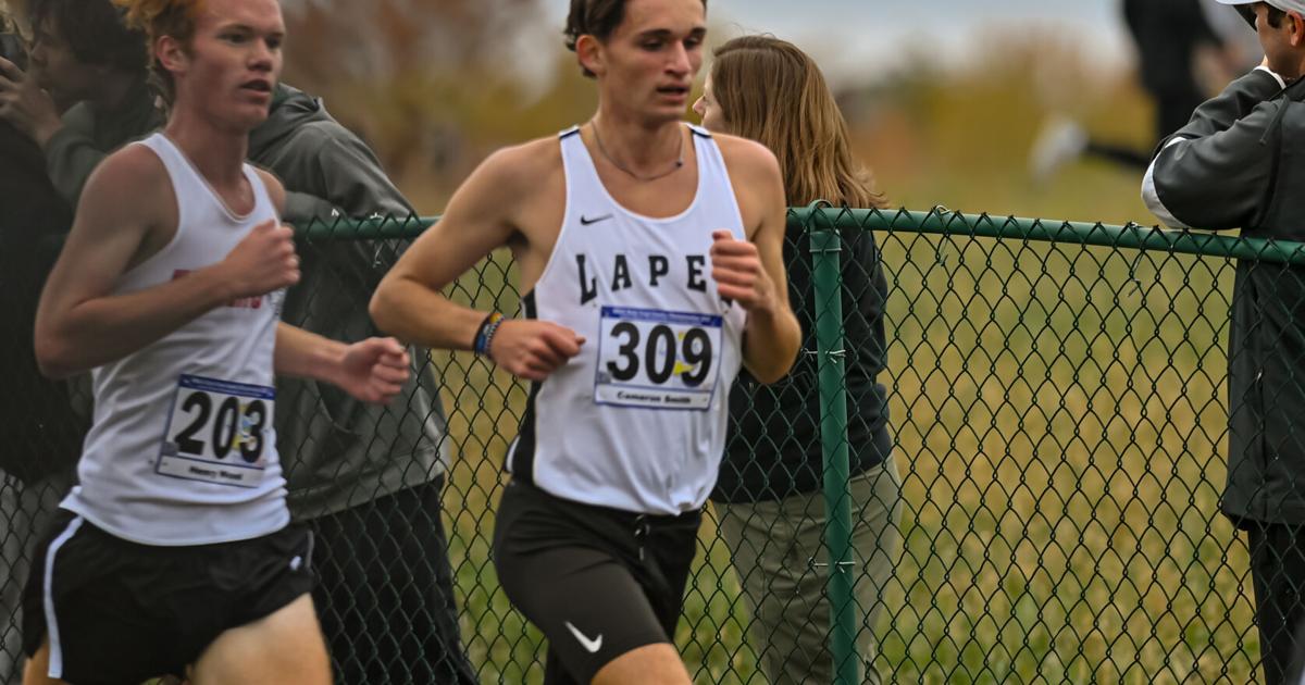 Cameron Labinsky THB Sports Boys Cross Country Athlete of the Year: Lapel's Cameron ...