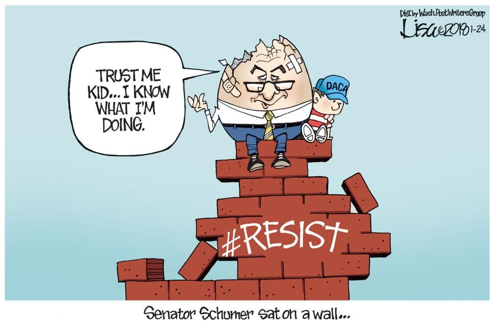 Sen. Schumer | Editorial Cartoons | heraldbulletin.com