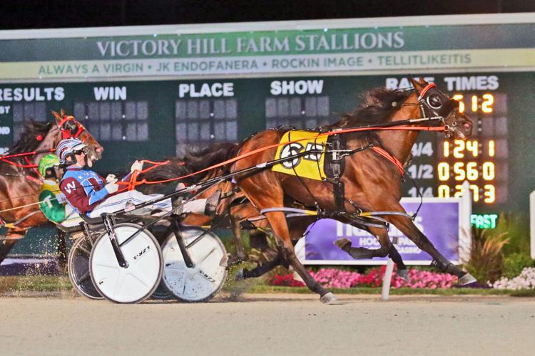 Pacing colts put on show in Indiana Sire Stakes | Sports ...