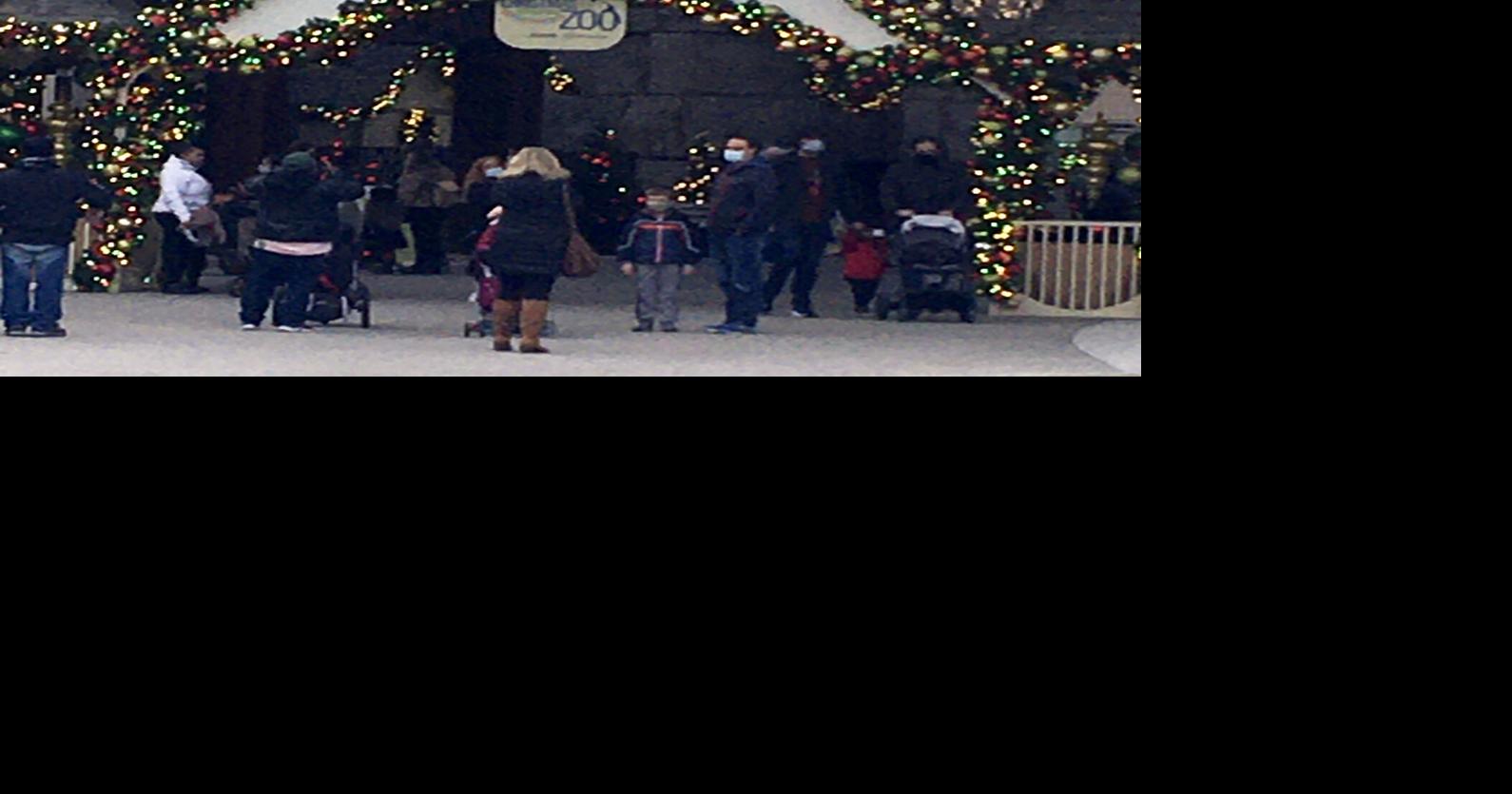 Indianapolis Zoo continues holiday tradition with lights ...