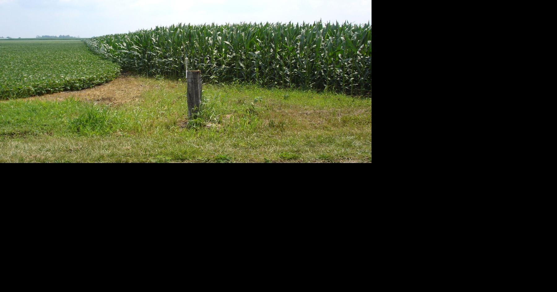 Celebrating America 250: Unique property line has important historical significance