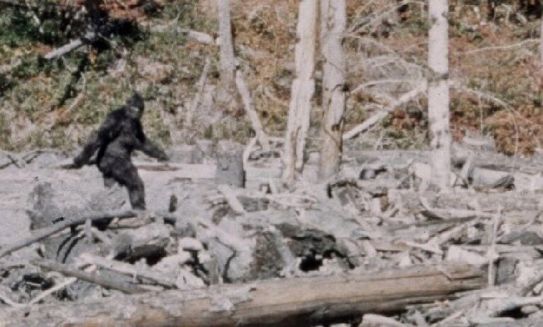 Why Do So Many People Still Want to Believe in Bigfoot?