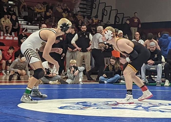 Alexandria leads area with 10 wrestlers advancing to regional ...