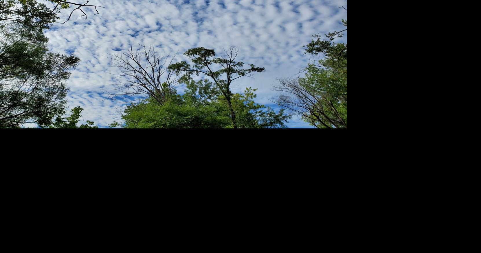 On Nature column: Cloud names and how they entertain | Columns ...