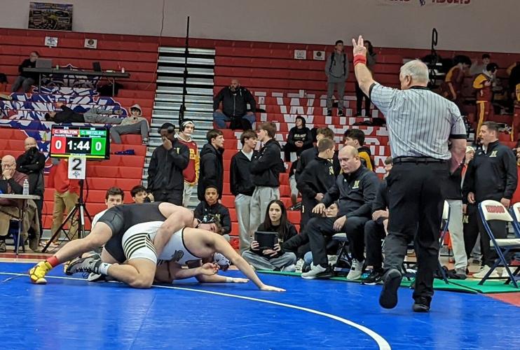 Alexandria leads area with 10 wrestlers advancing to regional ...