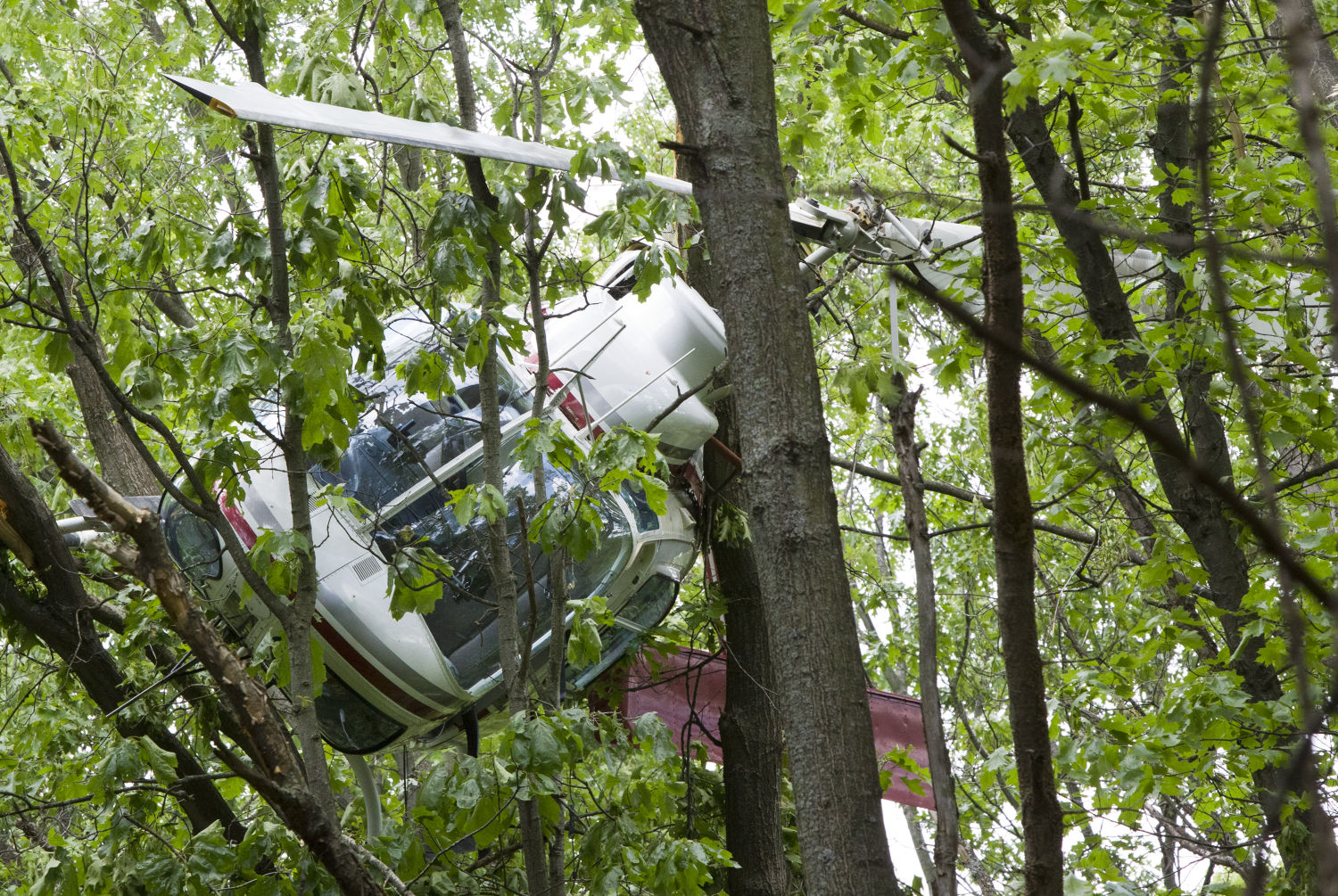 Tree Branches May Have Saved Men In Helicopter Crash | Nation & World ...