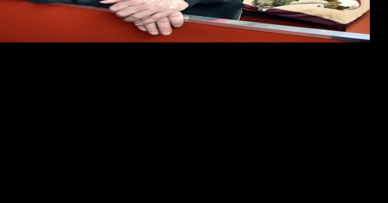 Key's Kountry Club Kennel treats dogs as guests Best of Madison