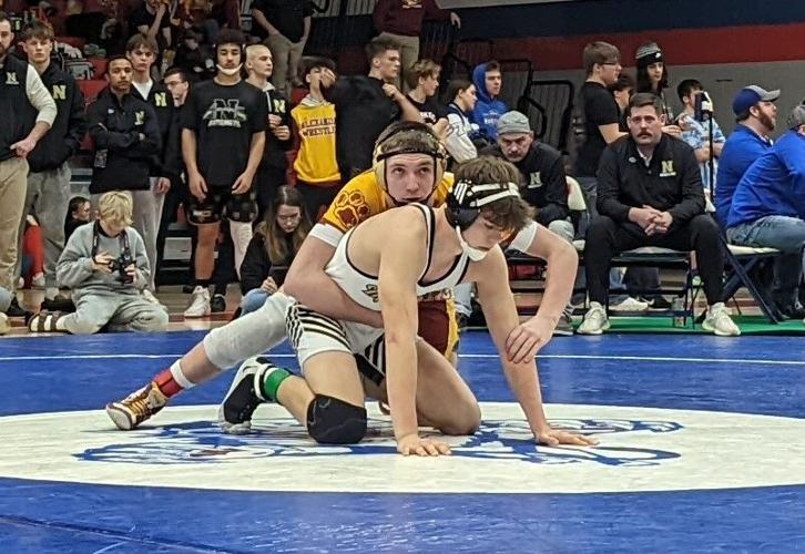 Alexandria leads area with 10 wrestlers advancing to regional ...
