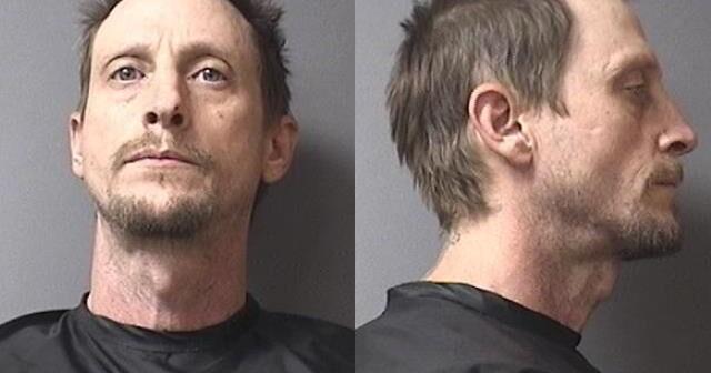 Police: Elwood man charged with attempted murder for driving van into ...