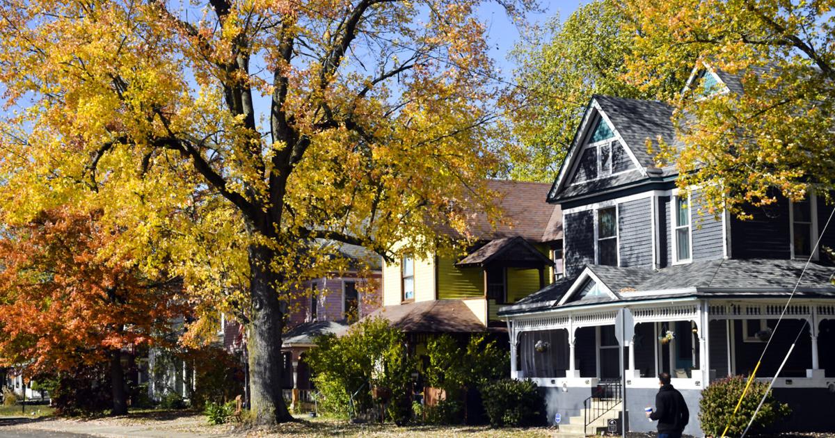 On Nature column: Fall colors may come early this year | Columns ...