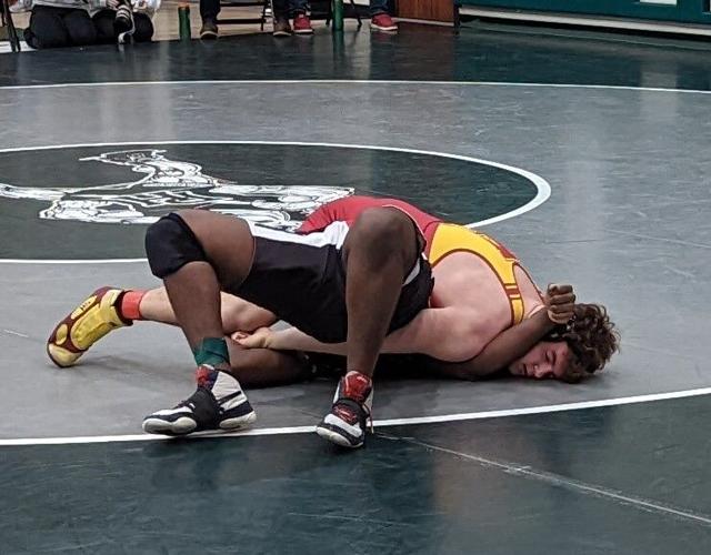 Alexandria sends six to semistate, including pair of regional champions ...