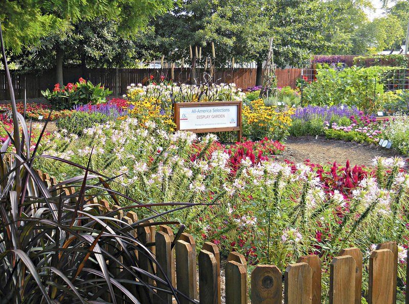 Demonstration garden ideas and awardwinning plants MAD Life